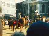 Lord Mayors Show horseback
